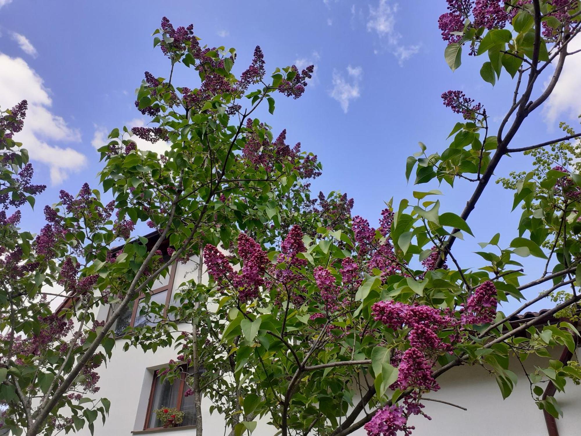 R-House Apartment Brasov Room photo